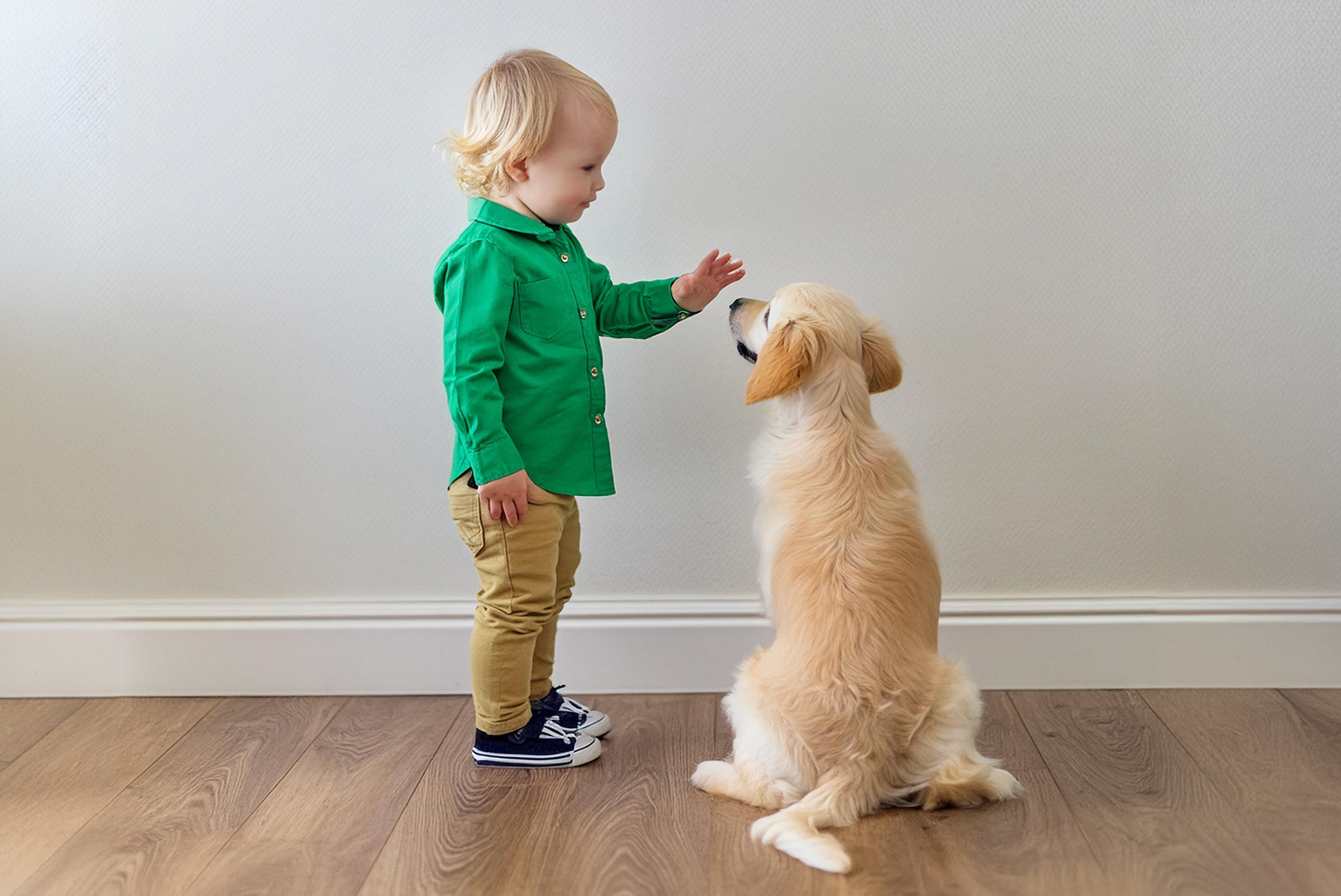 How to Introduce a New Puppy to Children