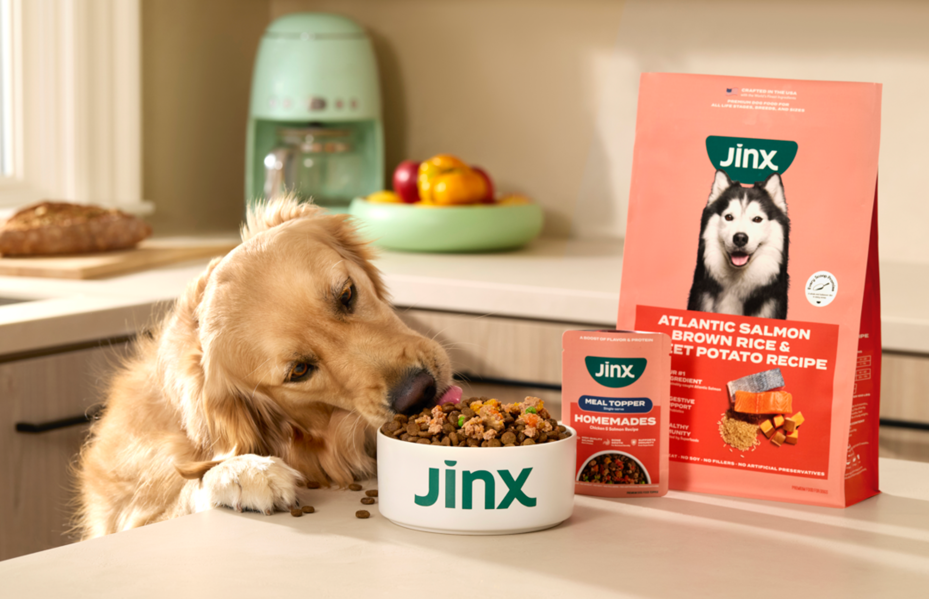 Omega-3s for Dogs: How Salmon Supports Skin, Coat, and Joint Health