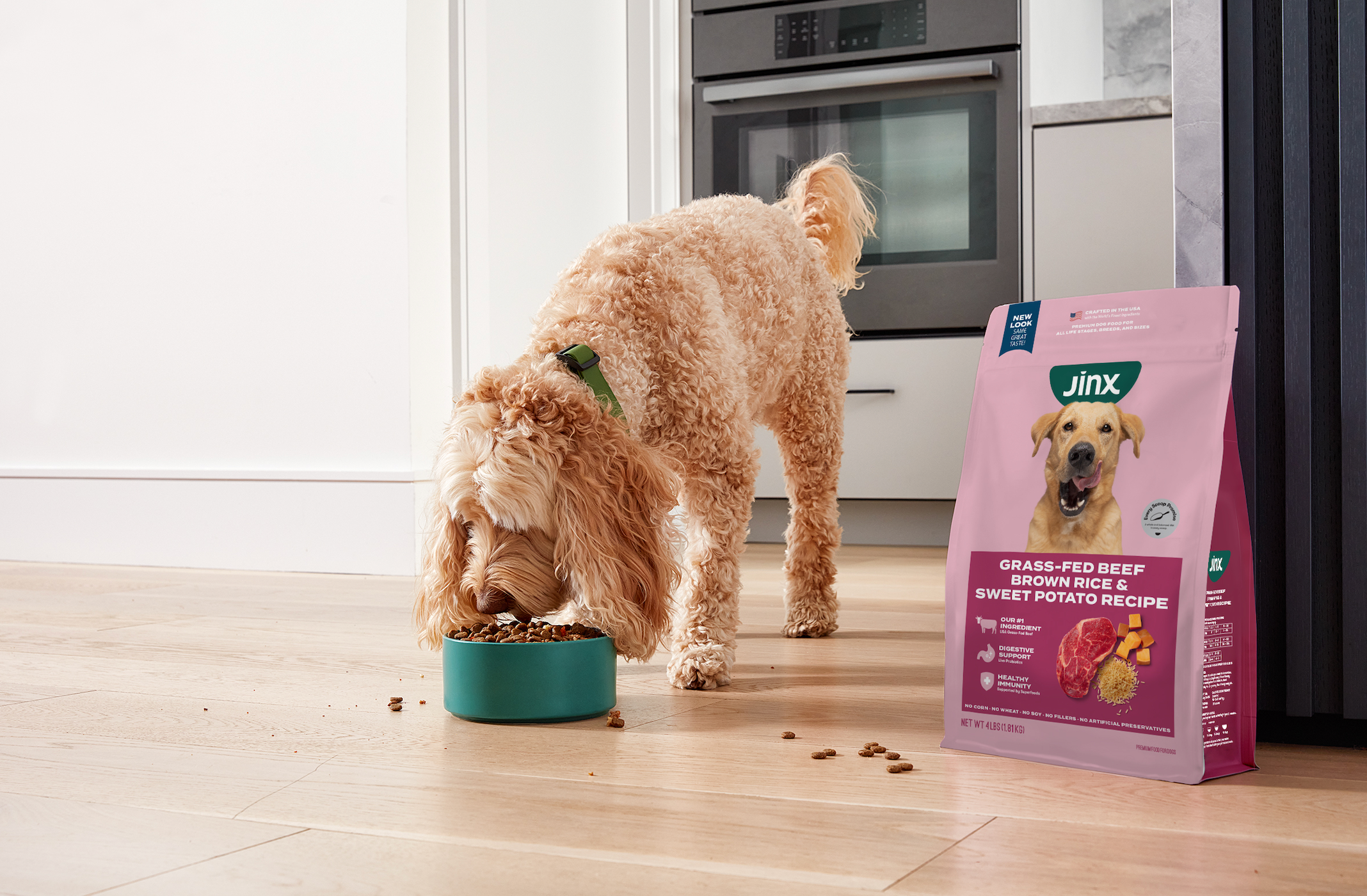 Understanding Your Dog's Life Stage Nutrition