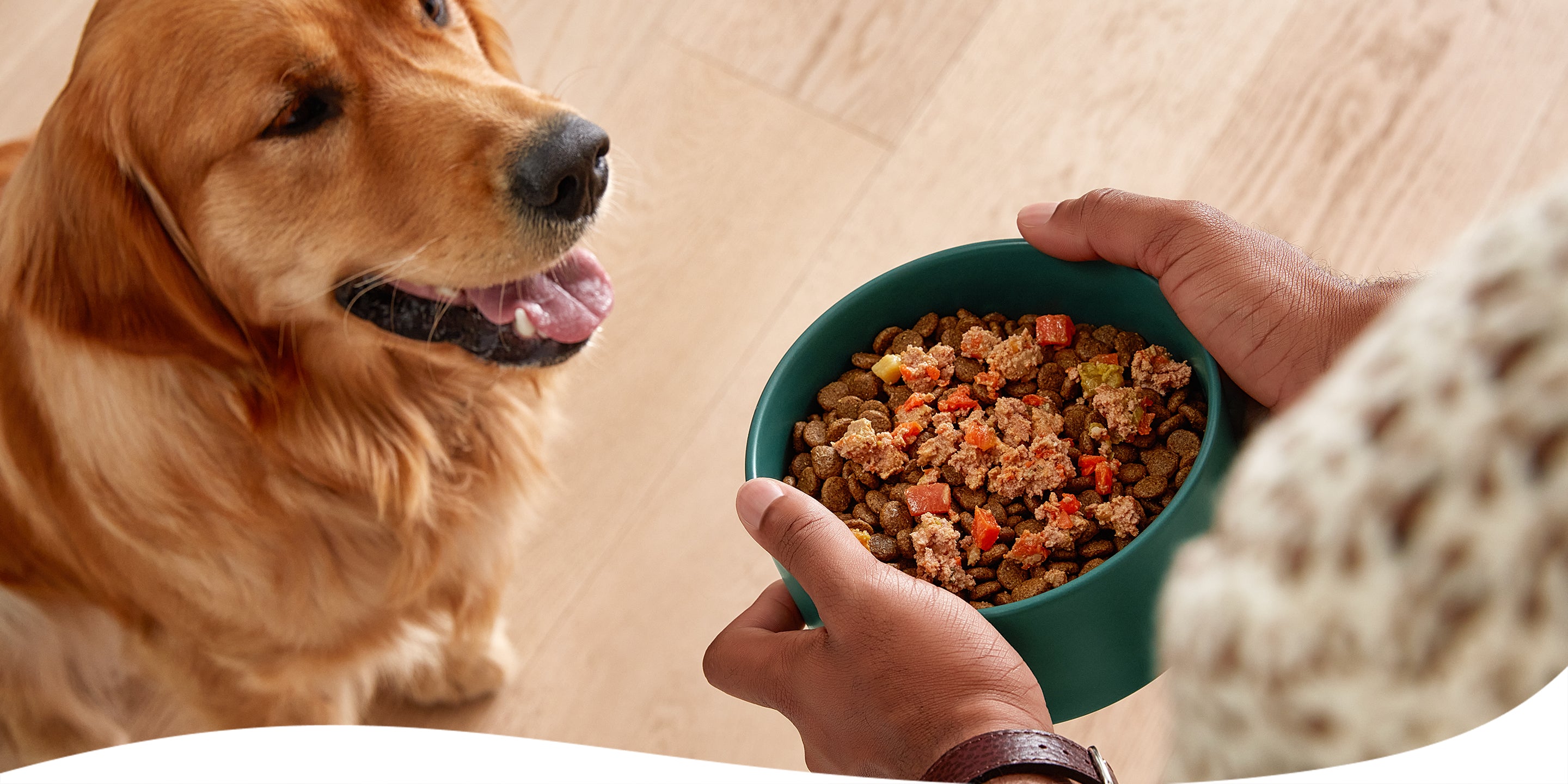 Shop Grain Free Salmon and Sweet Potato Dog Food Jinx