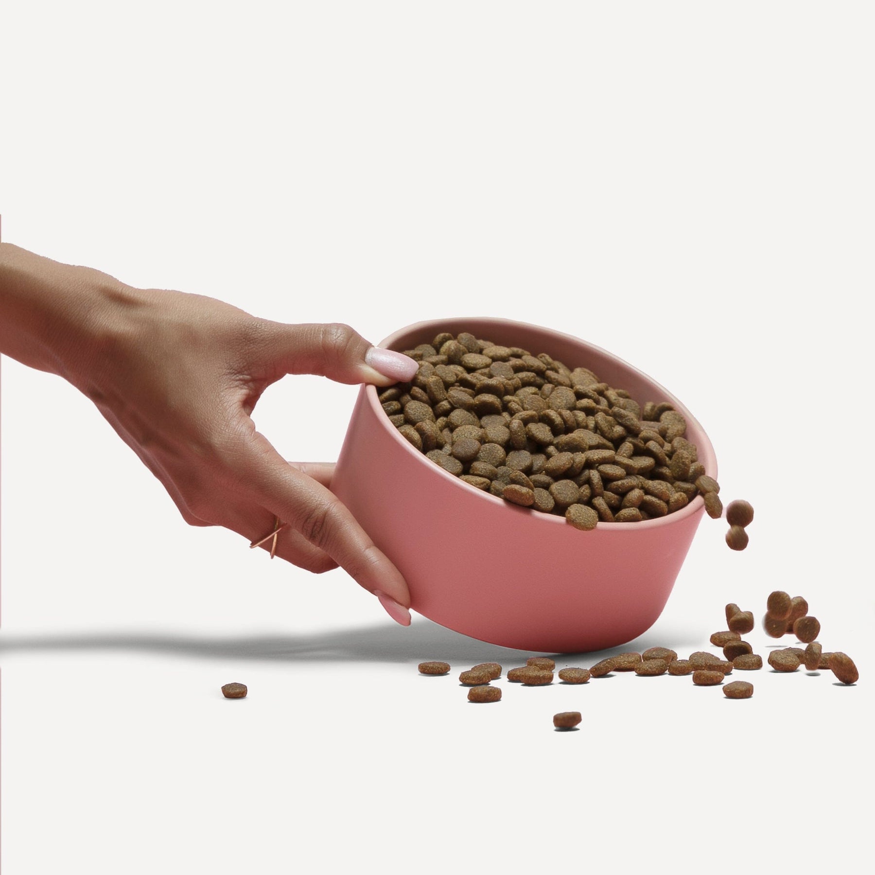 Grain Free Dog Food Toppers For Picky Eaters, Seniors