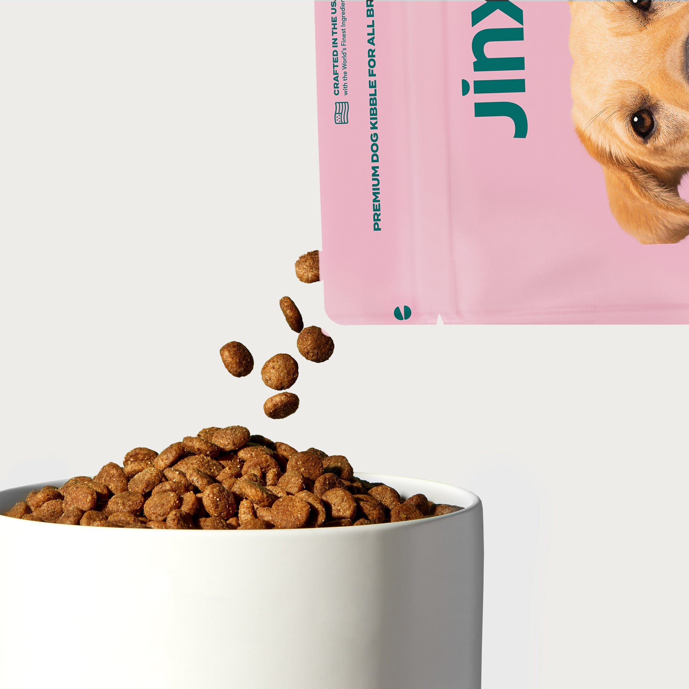 Grain Friendly Kibble Sampler Jinx